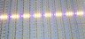 Светодиодная  фито линейка полного спектра-5730 72д/м 3:2:1  3шт 4000К, 2шт красных, 1шт синий диод Gen.2