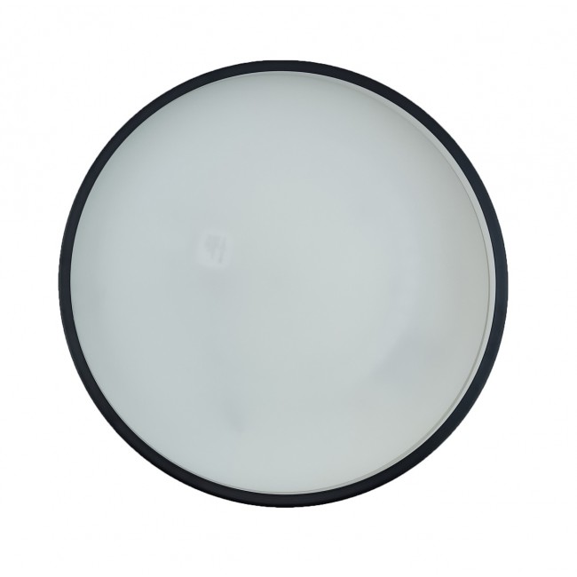 Светильник LED-PANEL-Round-D350-50 6500K 24W 220V 2400L XG-07-031 black TNSy