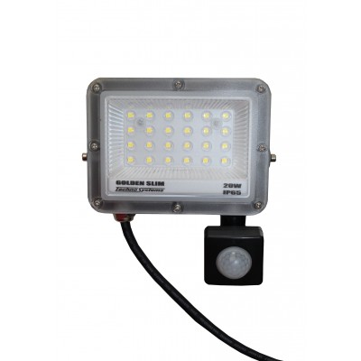 Прожектор LED 20W GOLDEN Slim 220V 2200Lm 6500K IP65 + Дд TNSy