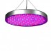 Світлодіодний фітосвітильник PWL 35W Grow light