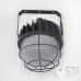 Светильник промышленный Powerlux ДСП-GR-S100-02 100W 3000K