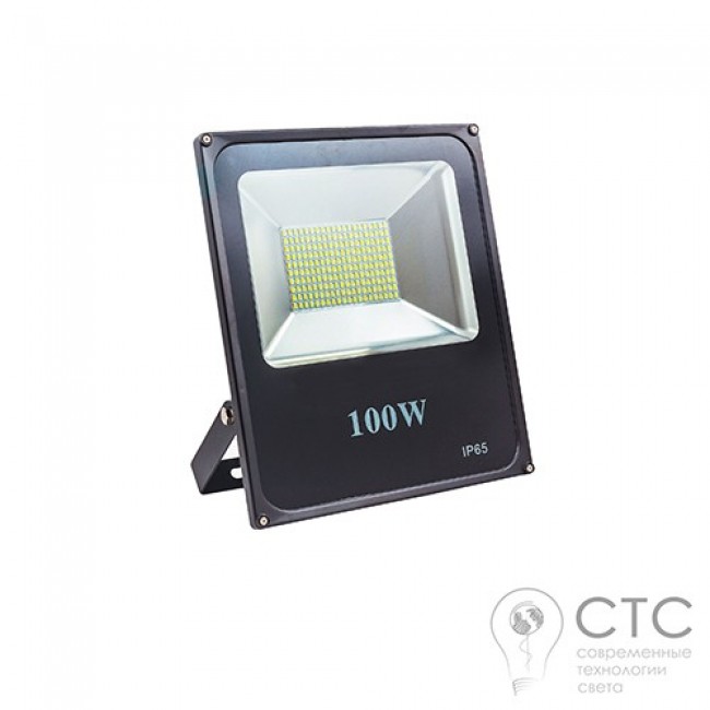 Светодиодный прожектор EVRO LIGHT ES-100-01 100W 6400K SMD