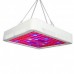 Светодиодный фитосветильник PWL 65W Grow light WH