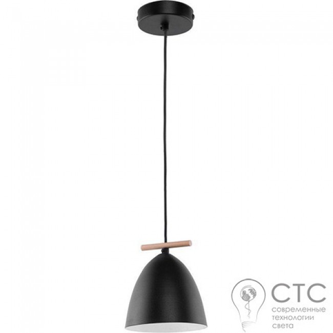 Підвісний світильник TK Lighting 2573 Aida Black