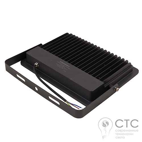 Светодиодный прожектор EVRO LIGHT EV-100-01 100W 6400K SMD - фото 3