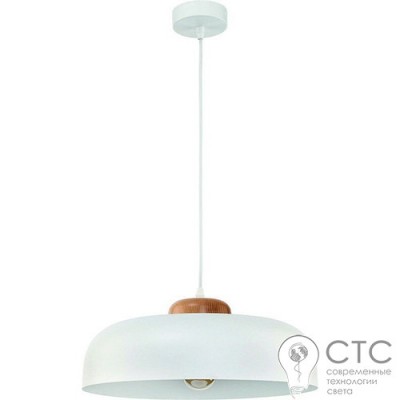 Подвесной светильник TK Lighting 2375 Steel