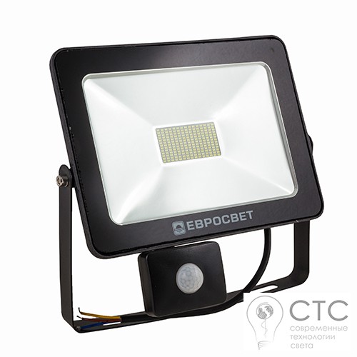 Светодиодный прожектор с датчиком движения EVRO LIGHT EV-50-01 50W 6400K HM  - фото 1
