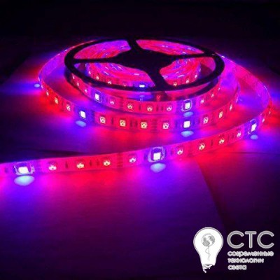 Светодиодная фитолента СТС 14,4W 4 красных + 2 синих IP65