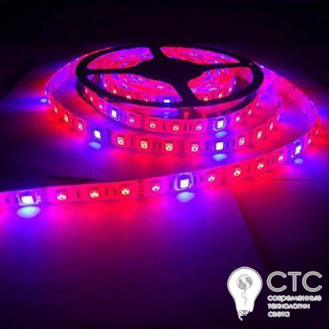Светодиодная фитолента СТС 14,4W 4 красных + 2 синих IP65