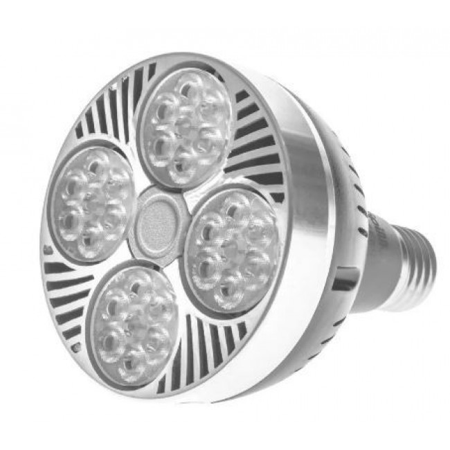 Лампа светодиодная  PAR30 CW E27 24W