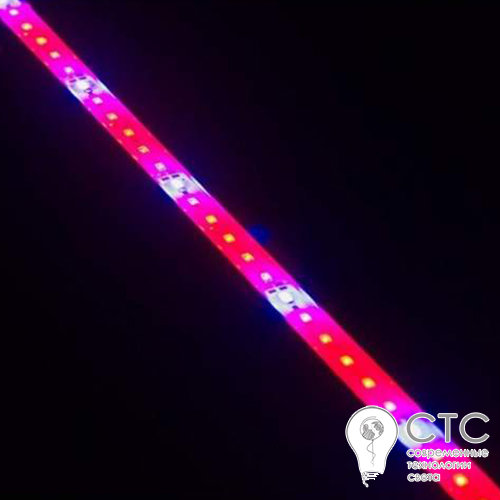 Светодиодный фитосветильник СТС SMD 5630 12W (5 красных 1 синий) - фото 2