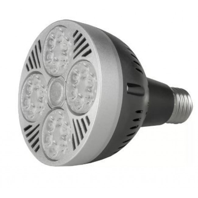 Лампа светодиодная PAR30 NW E27 20W