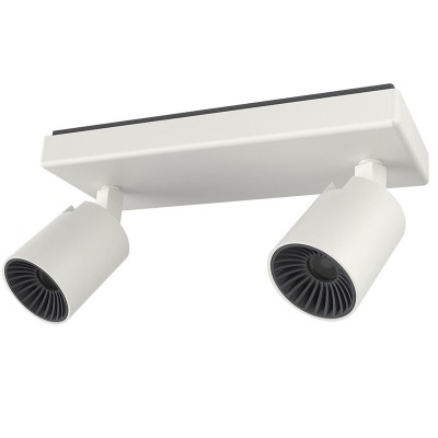 Спот светильник 2-й LIGHT TOPPS LT22720