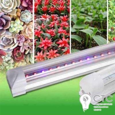 Светодиодный фитосветильник СТС SMD 2835 8W (4 красных 2 синих)