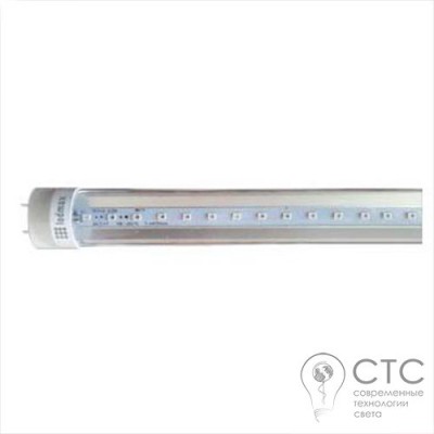 Світлодіодна фітолампа СТС T8-2835 8W (4 червоні 2 сині)