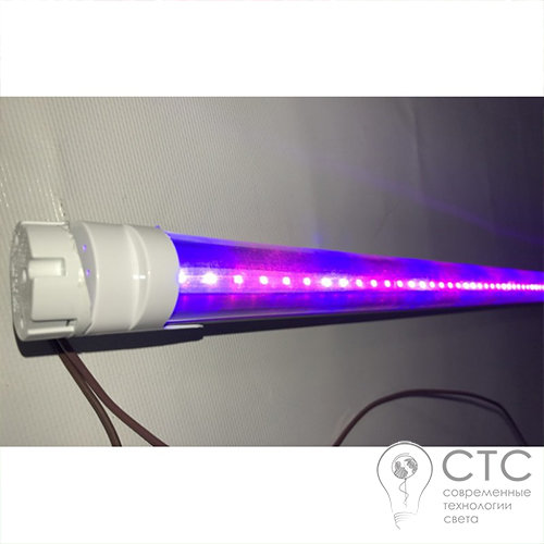 Светодиодный фитосветильник СТС SMD 2835 16W (4 красных 2 синих) - фото 1
