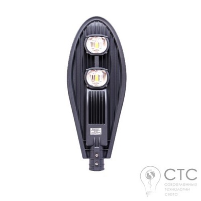 Уличный светодиодный светильник EVROSVET ST-100-04 100W 6400K 2x50Вт