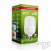 Светодиодная лампа EUROELECTRIC 40276(Plastic) 40W E27 6500K