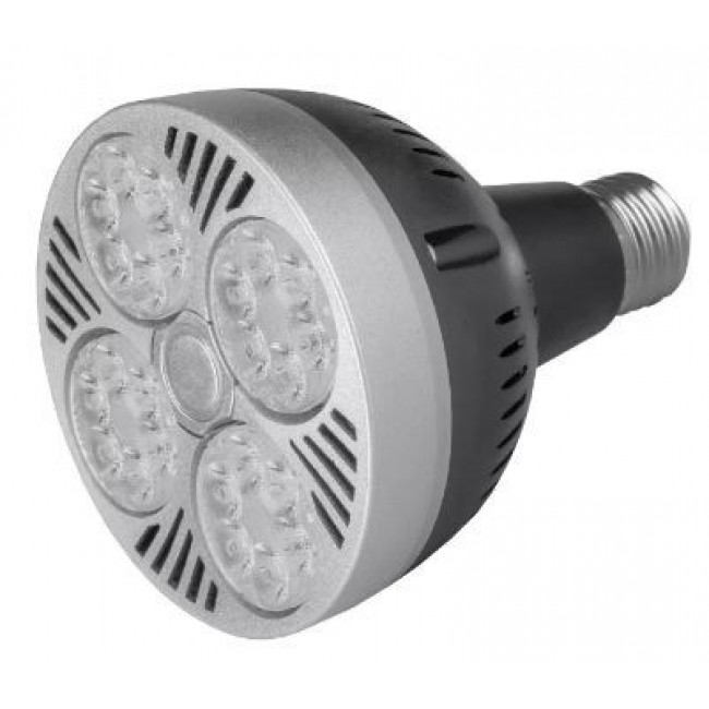 Лампа светодиодная PAR30 NW E27 35W