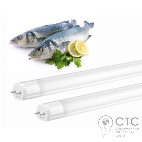 Світлодіодна лампа Ledlife T8 Sea Food 4W RA>83 300mm - фото 1