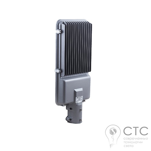 Уличный светодиодный светильник EVROSVET ST-100-03 100W 6400K 2x50W - фото 2