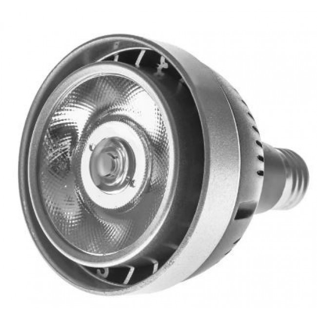 Лампа светодиодная PAR30 COB WW E27 30W