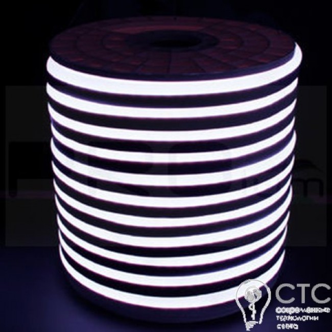 Светодиодный неон Prolum LED SMD2835-120 белый 12V