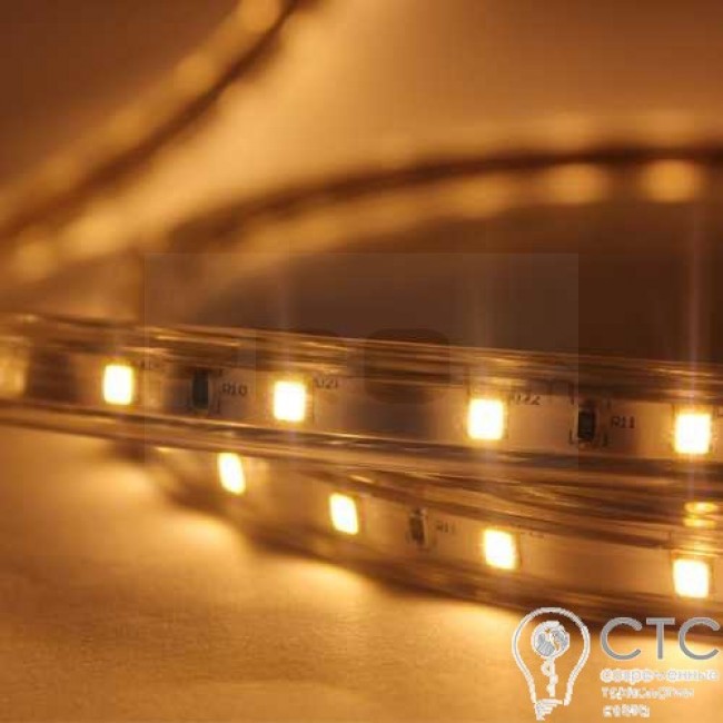 Світлодіодна LED стрічка Prolum SMD2835-60шт/м IP68 (всі кольори)