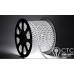 Світлодіодна LED стрічка Prolum SMD2835-60шт/м IP68 (всі кольори)