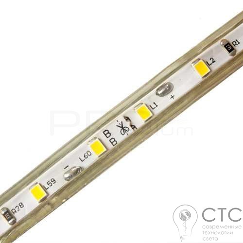 Світлодіодна LED стрічка Prolum SMD2835-60шт/м IP68 (всі кольори) - фото 5