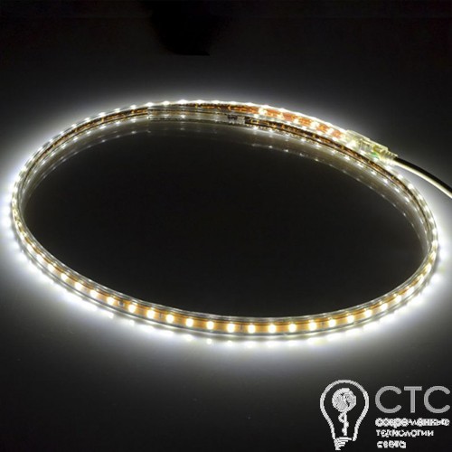 Світлодіодна LED стрічка Prolum SMD5730-120шт/м IP68 (всі кольори) - фото 2