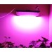 Светодиодный led фитопрожектор, светильник полного спектра 30вт