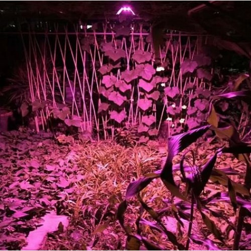 Светодиодный led фитопрожектор, светильник полного спектра 30вт - фото 10