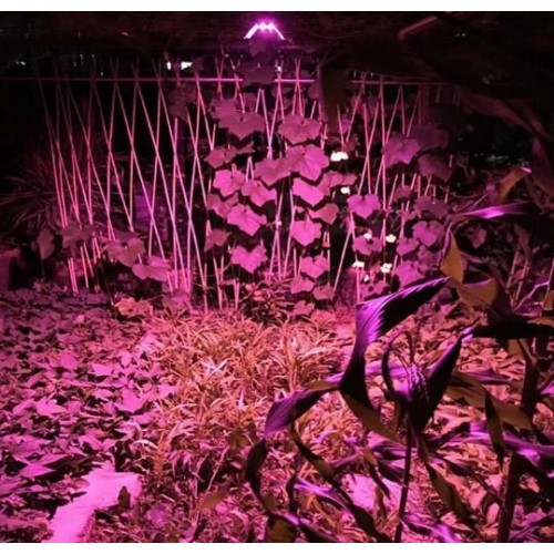 Светодиодная led фито матрица, светильник полного спектра 30вт - фото 5