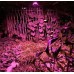 Светодиодная led фито матрица, светильник полного спектра 30вт