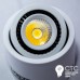 Светодиодный светильник Feron AL523 COB 5W 4000K белый