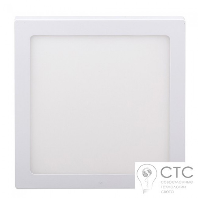 Світлодіодний світильник 12W LED-SS-170-12 4200К