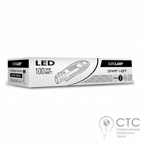 Вуличний світлодіодний світильник EUROLAMP COB 100W 6000K - фото 2