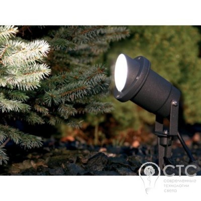 Вуличний спот Nowodvorski 3401 Bush