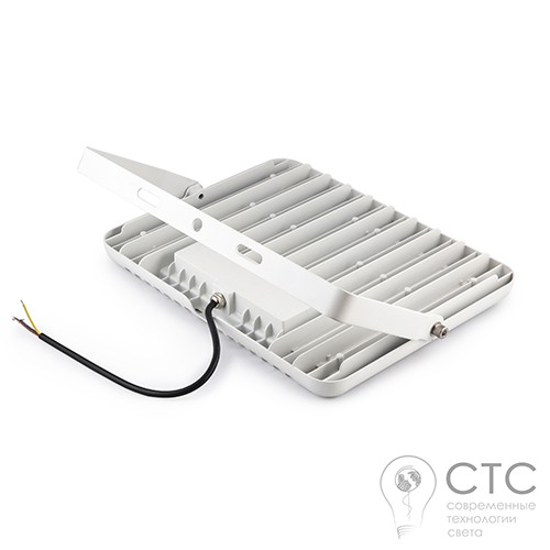 Светодиодный прожектор EVRO LIGHT FLASH-100-01 SanAn 100W 6400K - фото 3