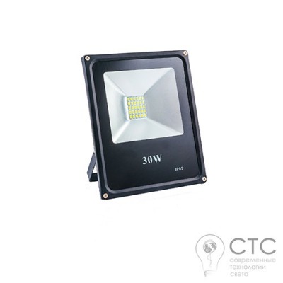 Светодиодный прожектор EVRO LIGHT ES-30-01 30W 6400K SMD