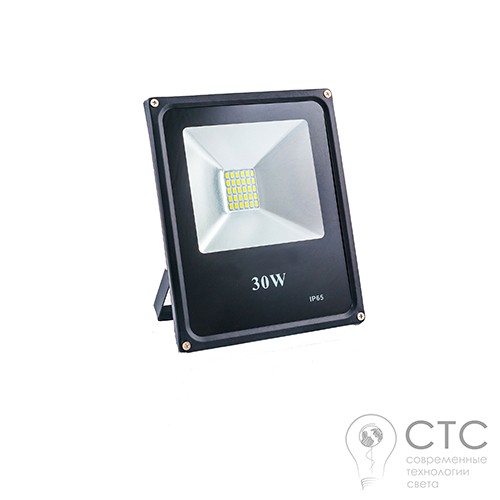 Светодиодный прожектор EVRO LIGHT ES-30-01 30W 6400K SMD - фото 1