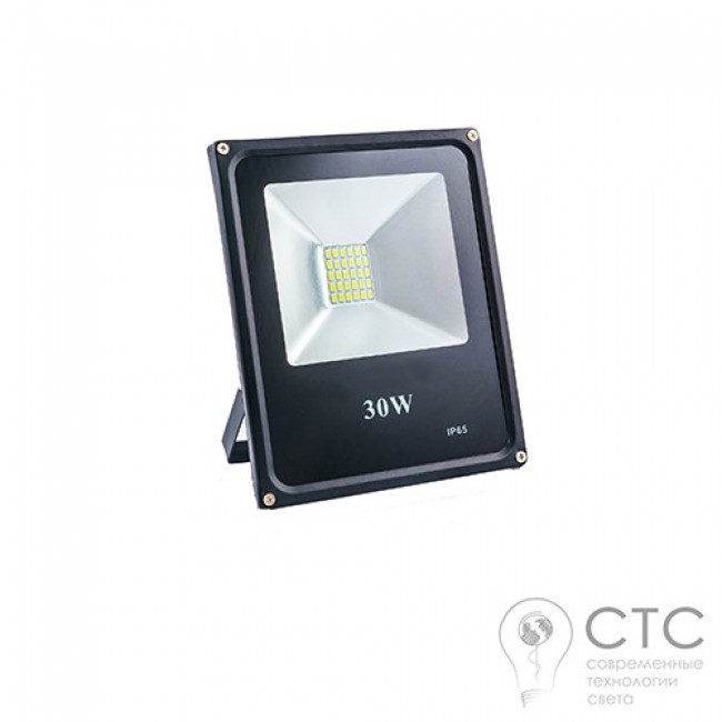 Светодиодный прожектор EVRO LIGHT ES-30-01 30W 6400K SMD