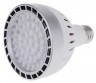 Лампа светодиодная PAR30 NW E27 40W