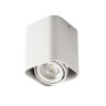 Потолочный точечный светильник Kanlux TOLEO DTL50-W (26114)
