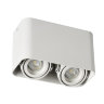 Потолочный точечный светильник Kanlux TOLEO DTL250-W (26120)