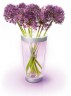 LED ваза для цветов Настольный светильник PHILIPS 69153/60/PH