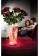 LED ваза для квітів Настільний світильник PHILIPS 69153/60 /PH